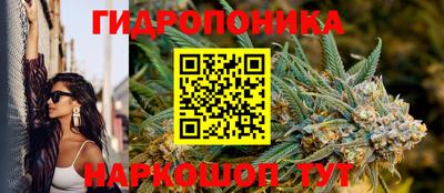 спайс Будённовск